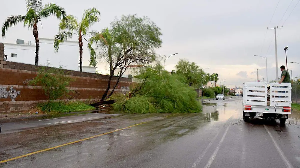 lluvia 6 - Villalba